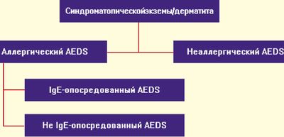 . 1.  EAACI (     )   / (AEDS)