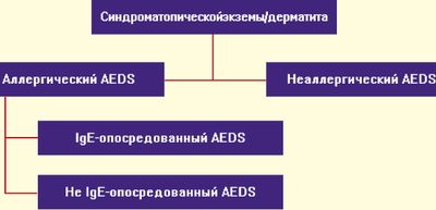 Рис. 1. Классификация EAACI (Европейская ассоциация аллергологв и клинических иммунологов) синдрома атопической экземы/дерматита (AEDS) Рис. 1. Классификация EAACI (Европейская ассоциация аллергологв и клинических иммунологов) синдрома атопической экземы/дерматита (AEDS)
